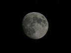 Luna Luna