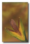 l'autunno ci accoglie l'autunno ci accoglie