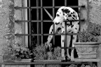 prima o poi riusciro' a fuggire. prima o poi riusciro' a fuggire.