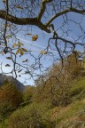 Autunno Autunno