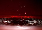 blood blood