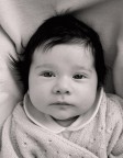 Alice b
a 3 mesi Alice b
a 3 mesi