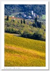 Chianti Shire Chianti Shire