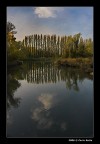 Sile Riflessi Sile Riflessi