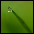 sguardo verso il cielo