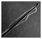 ::: SEMPLICEMENTE AGO E FILO :::