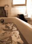 interno interno