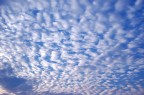 1000 pecorelle in cielo 1000 pecorelle in cielo