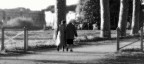 amiche per sempre amiche per sempre