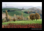 PAESAGGIO AUTUNNALE