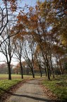 Parco Parco