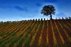autunno autunno