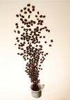 coffee time coffee time