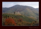 Colli di Valdobbiadene Colli di Valdobbiadene