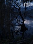 Ombre sul Lago Ombre sul Lago