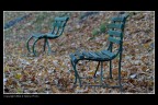 Autunno e solitudine Autunno e solitudine
