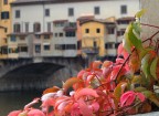 firenze firenze