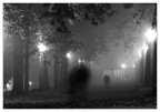 presenze nella nebbia presenze nella nebbia