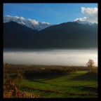 Nebbia bassa - Valtellina (2)