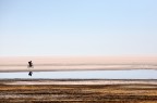 bici nel salar di uyuni bici nel salar di uyuni