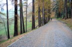 Autunno dipinto Autunno dipinto
