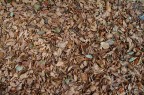 Autunno (Texture)