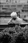 La pensionata La pensionata