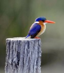 a me piaciono le foto a colori...! a me piaciono le foto a colori...!