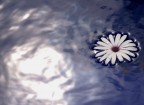 il sole dentro... il sole dentro...