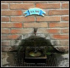 Per il miglior amico dell'uomo