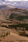 Val d' Orcia, vicino S. Quirico
