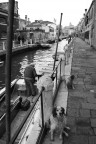 La giornata in laguna è finita... La giornata in laguna è finita...