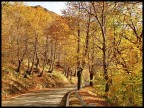 Autunno sulle Apuane