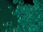 Bubbling thoughts Bubbling thoughts
