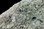 Anatasio Anatasio