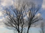 contro il cielo contro il cielo