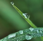 lezione di geometria!