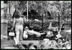 Per Mauroq... la donna dei piccioni Per Mauroq... la donna dei piccioni