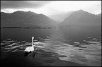 Verso la luce Verso la luce