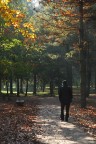 Passeggiando nel parco Passeggiando nel parco