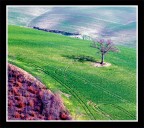 Toscana Toscana