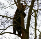 da qui si vede meglio...