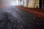 Crepe d'autunno Crepe d'autunno