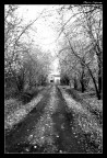 Verso Casa... Verso Casa...