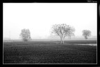 Silenzio... Silenzio...