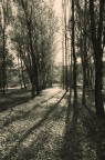 Autunno Autunno