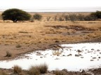 Paesaggio africano Paesaggio africano