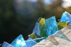 Cocci di vetro Cocci di vetro
