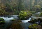 Nel bosco_1 Nel bosco_1