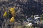 ultimi colori autunnali ultimi colori autunnali